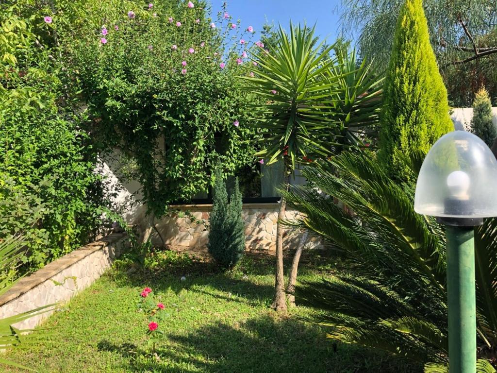 Villa Giulia Parghelia Exterior foto