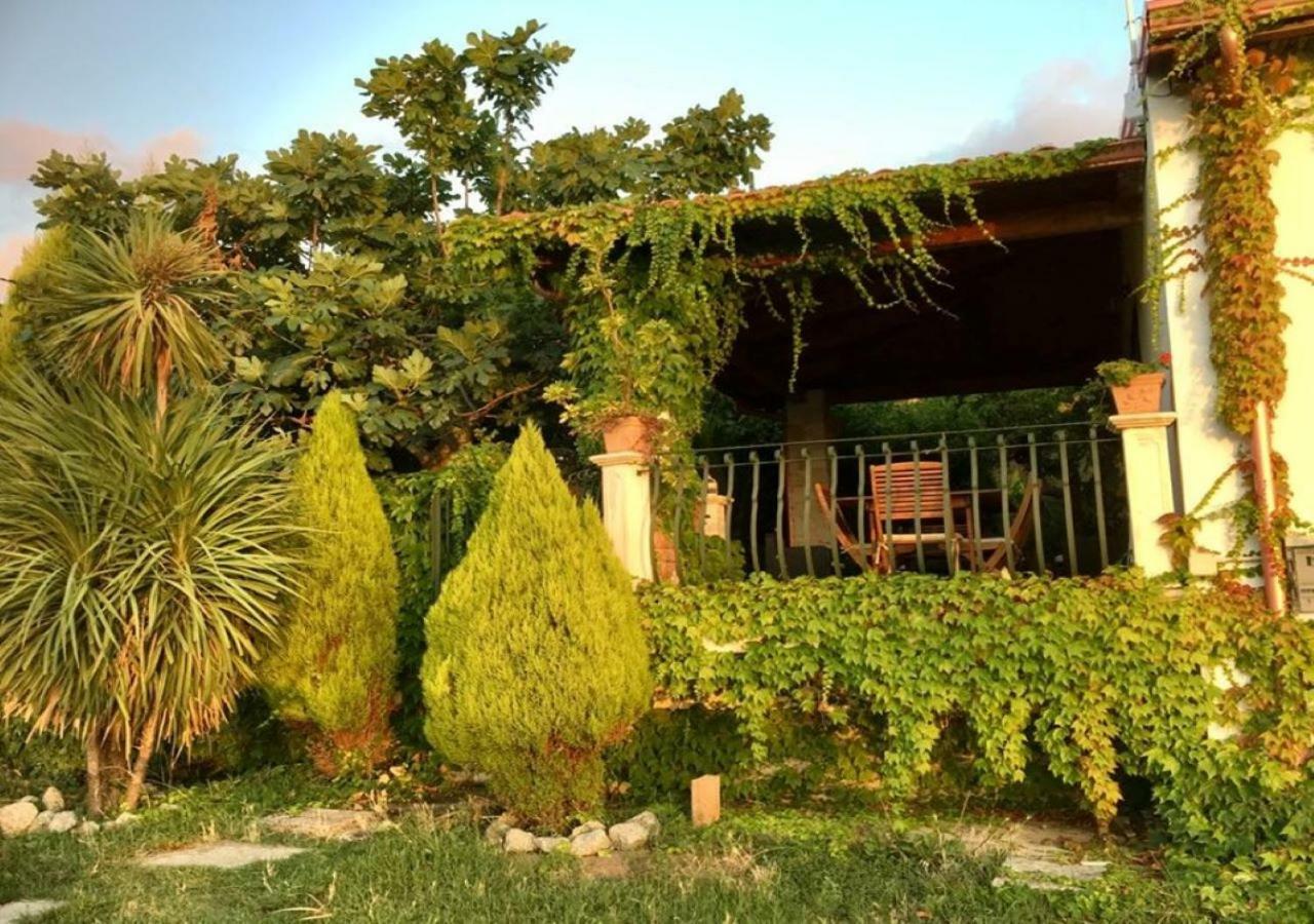 Villa Giulia Parghelia Exterior foto